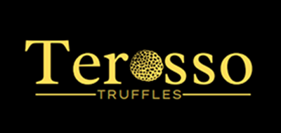 Reeni - Personal Portfolio HTML Template